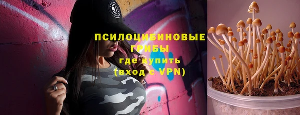 молекула духа Алексин