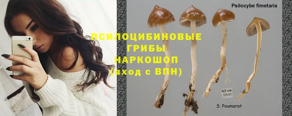 молекула духа Алексин